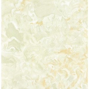 Gạch lát sàn Trường Thịnh NEW SWAN CASTLE 1-MP36048